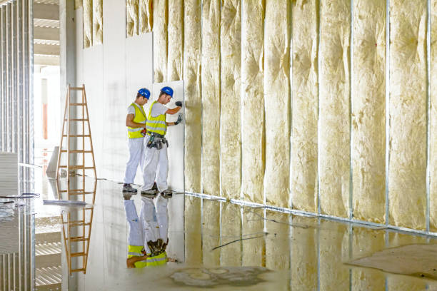 Best Garage Insulation  in Oakes, ND